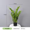 Planta Verde Simulada Pequena Planta em Vaso Suportes Orquídea Tigre Personalizada, Agave, Folha de Ninho de Pássaro, Folha de Dinheiro, Sisal de Cica