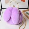 Bolso con orejas de conejo de peluche, bolso con hebilla, bolso de hombro, bolso de mensajero portátil para mujer, bolso con cadena para teléfono móvil, bolso redondo pequeño de moda que combina con todo