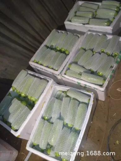 水果泡沫网套 (11)