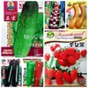 Gran número de semillas de hortalizas al por mayor huerto pimiento siembra de primavera semillas de hortalizas puesto de pepino colza