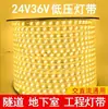 Tiras de luces LED de bajo voltaje, impermeables para exteriores 24v36v, para iluminación exterior, sitios de construcción, agricultura, sótanos, grúas torre y salas de estar