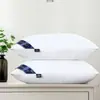 Un par de almohadas viene con una funda de almohada para dormir, núcleo de almohada de hotel, soporte para el cuello, uso doméstico, terciopelo de plumas para la siesta
