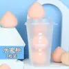 Esponja de Maquillaje de Durazno No Absorbe Polvo Esponja de Fruta Durazno Puff de Maquillaje En Caja Se Hidrata para Expandir Esponja de Maquillaje Sin Látex