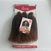 Peluca africana de seda proteica transfronteriza AFRO KINKY BULK cabello trenzado corto de ganchillo rizos pequeños peluca europea y americana