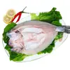 Filete de Lubina Fresco Congelado Vivo Pez de Profundidad Bai Jiao Lubina de Siete Estrellas Mariscos Pescado a la Parrilla Semiacabado Comercial