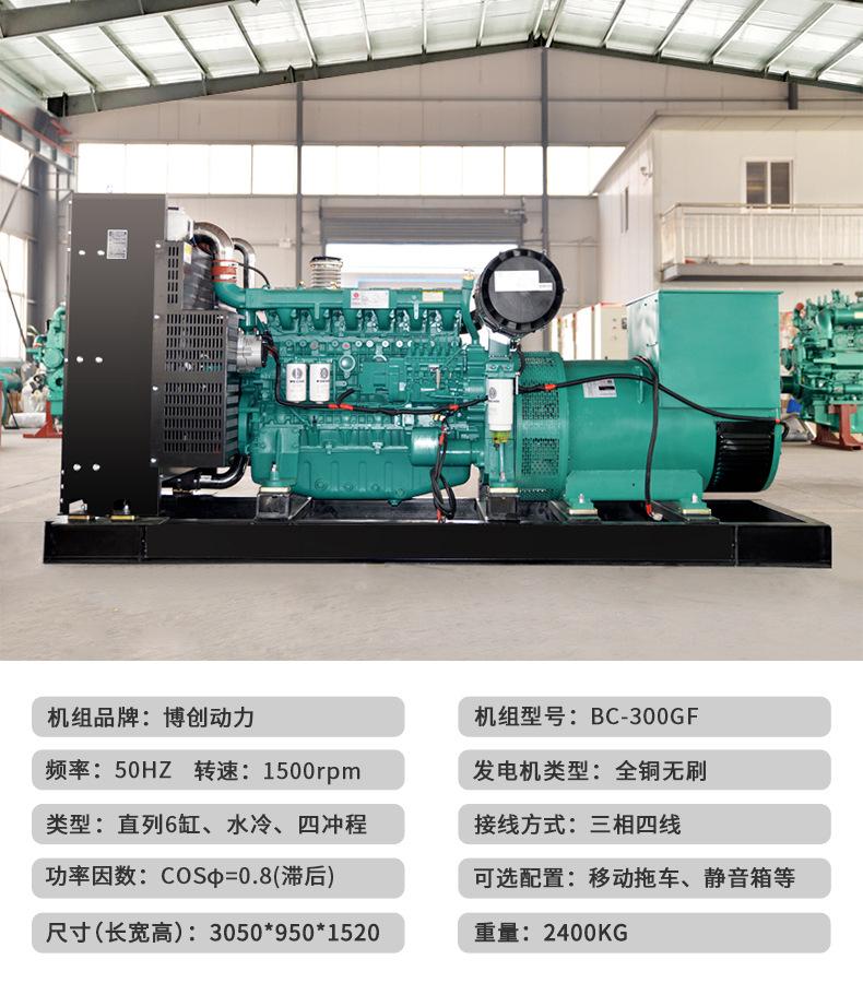 潍柴300kw-参数