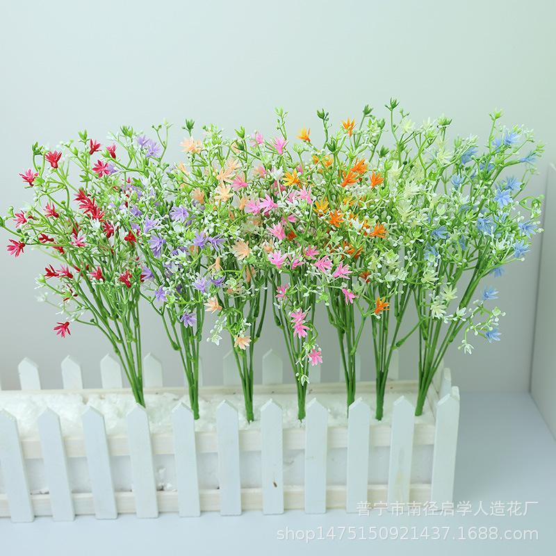 3D1A5905.jpg