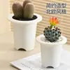 Ventas Directas de Fábrica Producto Nuevo Maceta Perenne Gruesa Maceta de Plástico para Flores Maceta para Suculentas Frosty Negra y Blanca Tubérculo Cactus