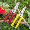Tijeras raleadoras de fruta tijeras podadoras potentes tijeras para recolectar fruta y verdura tijeras raleadoras de jardín tijeras especiales para podar uva