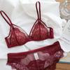 Renda francesa lingerie feminina sem fio triângulo com bojo push up fino sutiã peito grande pequeno sexy charmoso conjunto de sutiã