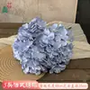 Flor de Simulación Transfronteriza 5 Cabezas Hortensia Boda Francesa Hortensia Grande Bola de Flores Decorativa Tienda Ventana Apertura Festival de Bodas Flor Artificial