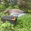 Cebo para aves de corral de simulación Canadá pavo americano jardín pato falso cebo de caza pato flotante ganso ruso