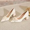 Sapatos Casuais Franceses de Salto Grosso e Bico Fino Estilo Primavera e Verão para Mulheres 2026 Novos Sapatos Versáteis e Elegantes que Combinam Bem com Saias e São Confortáveis para os Pés