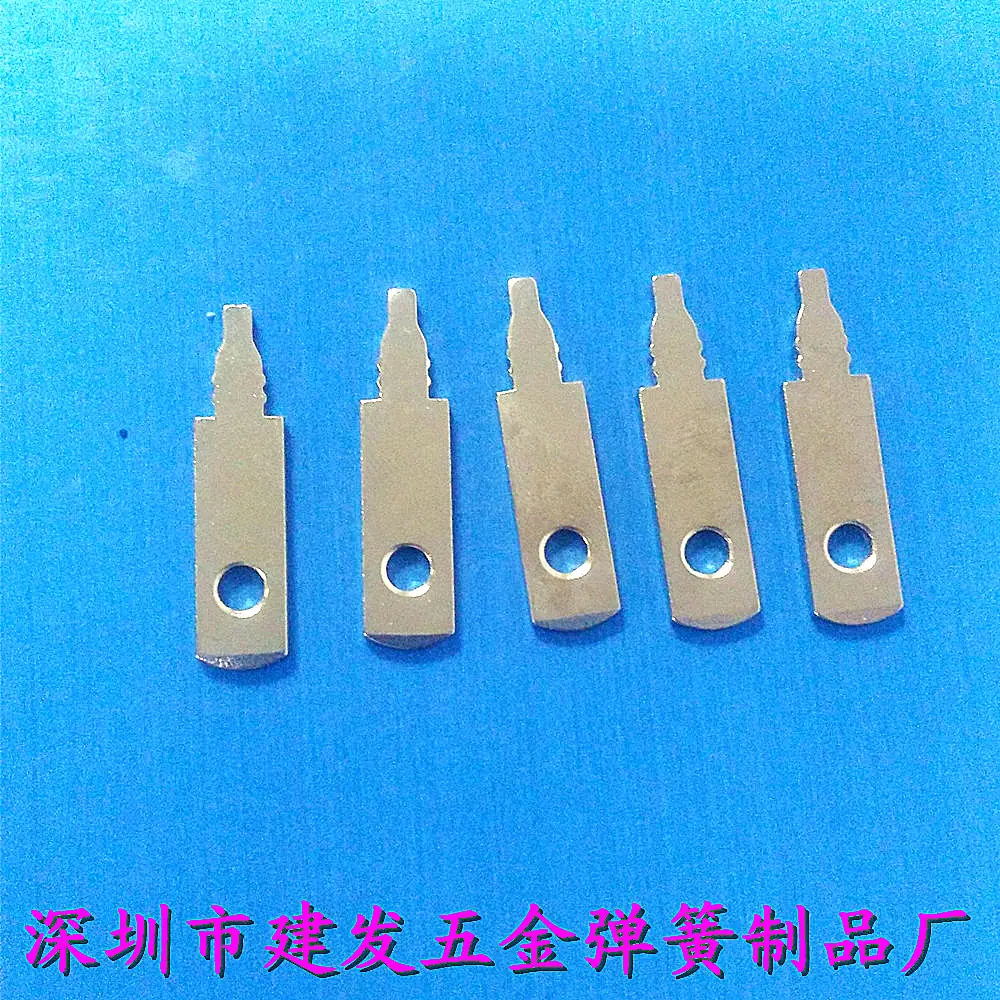 照片 214_副本