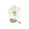Fábrica Dilixue seleciona rigorosamente broche flor de concha de água do mar de alta qualidade corsage de pedra Imperador retrô presente para o festival 38