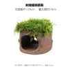 Aquário Musgo Terrário Planta Aquática Paisagismo Planta Real Tanque de Esconderijo para Peixes e Camarões Casa de Camarão Pequeno Ornamento Casa de Esconderijo para Criação de Peixes Pequenos