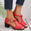 Moda Europea y Americana Ropa de Exterior Sandalias de Tacón Grueso Boca de Pez para Mujer 2024 Primavera y Otoño Nuevas Chanclas de Tacón Grueso con Hebilla para Mujer