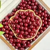 Miçangas de Semente de Bodhi Naturais Atacado, Contas Soltas de Raiz de Bodhi, Acessórios de Contas Redondas, Miçangas Artesanais para DIY, Contas de Oração Budistas, Pulseiras para Mulheres