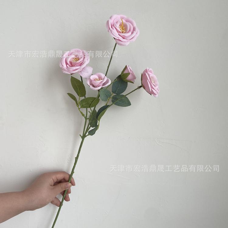 微信图片_202204111604494_副本