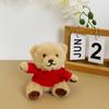 Lindo lindo suéter oso colgante juguete de peluche oso de peluche muñeca colgante de bolsa llavero de muñeca