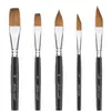 Set de 5 Piezas Best-Seller Transfronterizo de Titian de Bolígrafos Profesionales de Madera Negra para Acuarela