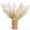 Flores Secas, Cañas Grandes, Hierba de Pampa, Flores Secas de Alta Calidad, Hierba de Pampa para Decoración de Bodas, Decoración del Hogar, Cañas Secas Grandes