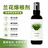 Agente Estimulante de Raízes para Orquídeas, Solução Nutritiva para Orquídeas Phalaenopsis, Promove a Brotação, Estimula a Floração, Fortalece as Raízes, Promove o Crescimento das Raízes e Fortalece as Mudas e Folhas