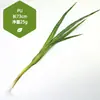 Modelos de Frutas y Verduras de Imitación para Montaje de Escenas, Decoraciones de Cocina, Accesorios de Fotografía y Decoración Suave Pastoral
