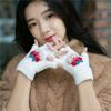 Guantes de felpa otoño e invierno medio dedo zorro hombres y mujeres cálidos gruesos bolsa fabricantes dedo expuesto terciopelo todo nailon
