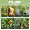 Clips de Fijación para Plantas Verdes y Árboles Frutales, Sujetadores para Enredaderas, Cañas de Soporte para Subir Plántulas, Clips para Colgar Plántulas de Frutas y Verduras