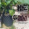 Dispositivo de Control de Raíces para Plantar Macetas y Paisajismo, Alto Especial (Cultivo de Suelo Alto) Tablero para Rodear Árboles para Plantación de Árboles, Tablero de Drenaje de Plástico Dispositivo de Control de Raíces