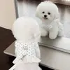 Coleira com Guia para Pet, Estilo Saia JK, Coleira Anti-Fuga para Gatos, Saia de Renda, Estilo Doce de Princesa, Modelo Primavera e Verão, Coleira para Gatinhos