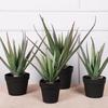 Aloe Vera Artificial Escandinavo en Maceta Decoración Interior para el Hogar Maceta Grande Suculentas Adornos Planta Verde Artificial Aloe Vera Mayoreo