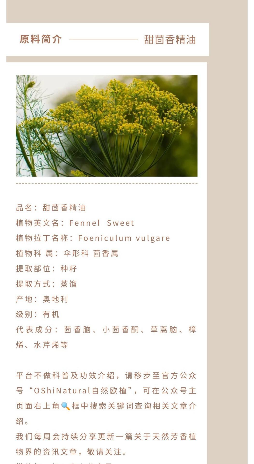 甜茴香精油.jpg