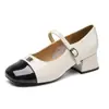 Sapatos Mary Jane de Salto Grosso Estilo Francês para Mulheres 2025, Adequados para Saias, Primavera e Outono, Tira Única, Estilo Princesa Elsa, Microfibra Espelhada