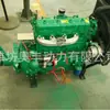 Motor Diesel Weifang 490 com Embreagem Máquina Limpadora de Esterco Máquina de Mudas Suportando o Mesmo Modelo da Quanchai