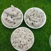 Material de filtración para acuario de hueso de coral de alta calidad, arena de coral al por mayor para mejorar el pH, material de filtro para purificar la calidad del agua, paisajismo de acuario