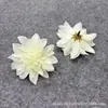 Venda Direta de Fábrica de Flores Artificiais de Dália, Grampos de Cabelo Feitos à Mão, Materiais DIY, Caixas de Presente, Flores Decorativas, Roupas, Chapéus e Flores