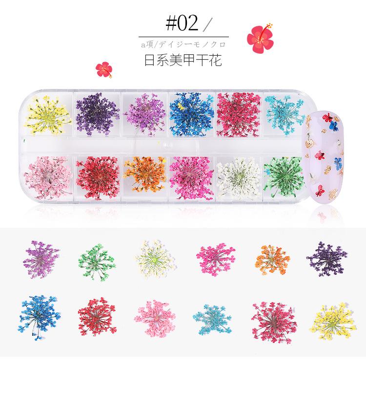 美甲干花 蕾丝干花 水仙花