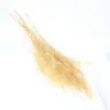 Artemisia gypsophila flor seca hierba de los sueños material DIY quinoa espinosa flor seca holandesa arena de construcción modelo de escena de maqueta