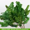 Plantas Verdes Artificiais, Bigodes de Dragão, Capim-dos-pântanos, Fundo de Casamento, Arranjo Floral, Paisagismo, Arte Floral Estilo Floresta Pendurada Branca e Verde, Decoração de Casamento