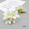 Flores de seda artificiales Flor Bauhinia impresa en 3D Cadena Kit de material más vendido transfronterizo para hacer cajas de flores y tocados estilo antiguo Hanfu