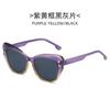 2022 nueva fábrica transfronteriza de gafas de sol para PC, venta al por mayor, gafas de sol de conducción de moda para mujer, gafas de sol tipo ojo de gato