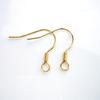Proveedor Transfronterizo Gancho de Oreja de Acero Inoxidable Color Oro Verdadero Galvanizado Accesorios para Gancho de Oreja Accesorios para Gancho de Aro de Oreja Gancho de Oreja de Acero Inoxidable 316