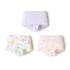 Cuecas boxer de algodão para meninas Balabala, Shorts triangulares infantis para bebês e crianças maiores, Shorts de quatro pontas PP sem elástico, Pacote com três