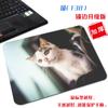[Una generación de cabello] pequeño lindo gato tela antideslizante tapete para computadora arte estético simple borde bloqueado alfombrilla de ratón