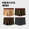 Roupa Íntima Masculina Modal Respirável de Luxo Leve, Amiga da Pele, Não Suada, Virilha Antibacteriana de Grafeno, Boxer Briefs Atacado Dropshipping