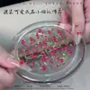 Nuevo Arte de Uñas Cereza Pequeña Diamante Verano Hielo Rojo Transparente Cereza Dibujos Animados Tridimensionales Lindo Estilo Girly Decoración de Uñas