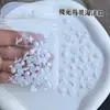Nuevos Dijes para Uñas Estilo Aurora Oceánica Concha Perla Nácar Blanco Aurora Concha de Mar Palmera Estrella de Mar Mezcla de Conchas