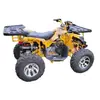 ATV de Transmisión Automática de 200cc-250cc Coche de Playa Motocicleta Todoterreno Off-Road Motocicleta de Cuatro Ruedas Motonieve
